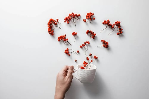 Berries Sprinkled