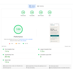 Achieving 100/100 Page Speed: A Recent Success Story