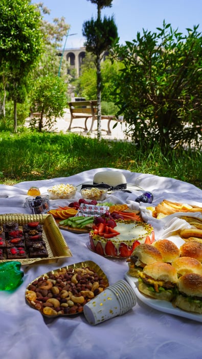 Day picnic