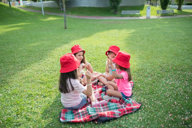 Day Picnic