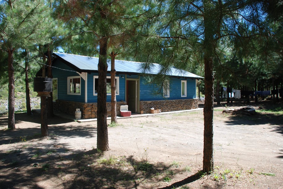 Pine Cottage
