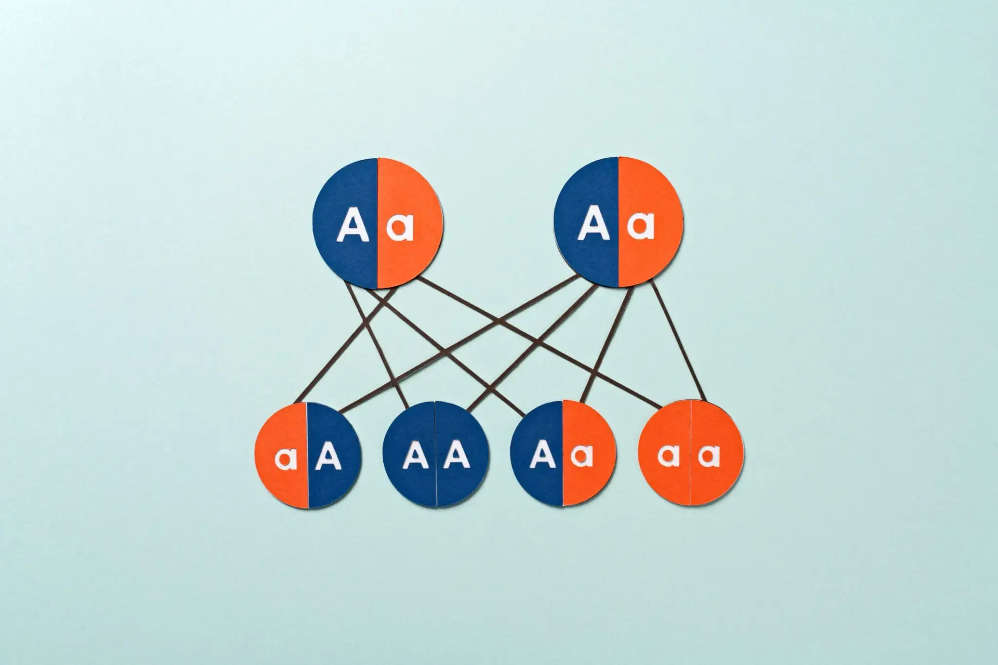 Interactive User Experience