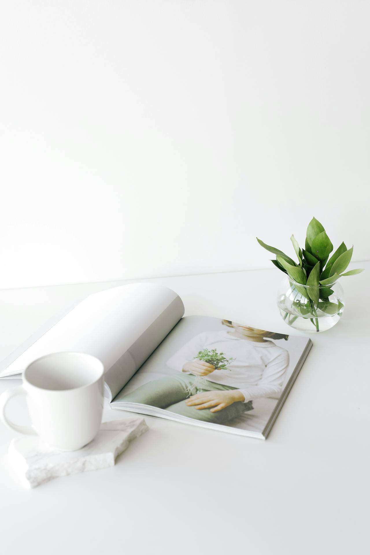 opened-magazine-on-desk-near-cup-and-plant-leaves